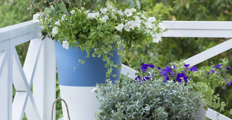 Bac à plantes Beauregard