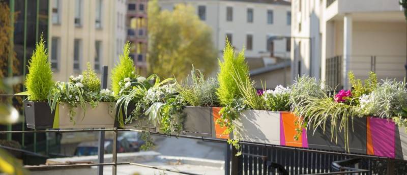 Balconnière Lachassagne