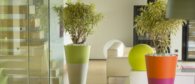 Pot de fleur Ternand